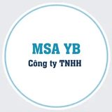 MSA YB